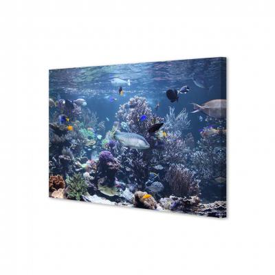 ACUARIO MARINO 25688